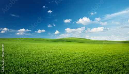 Green Land With Blue Sky In Background
