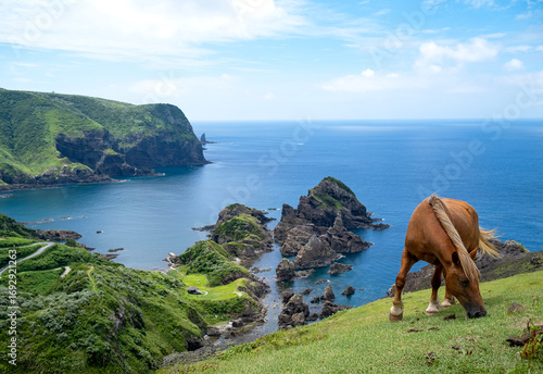 日本の隠岐諸島, 西ノ島の国賀海岸の景色, 野生の馬が草を食べている