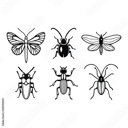 set of butterflies isolated on white