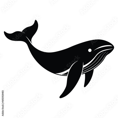 vector illustration of a cartoon shark