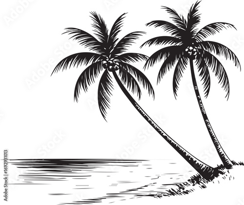 palm trees on the beach engraving outline vector art illustration design, palm tree silhouette, hand drawn beach drawing, line art palm tree, sea, beach, summer view, vintage palm tree on sea beach.	
