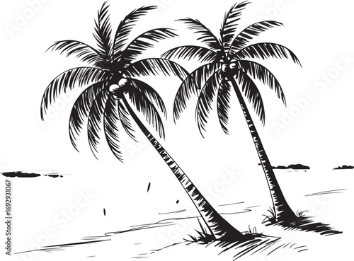 palm trees on the beach engraving outline vector art illustration design, palm tree silhouette, hand drawn beach drawing, line art palm tree, sea, beach, summer view, vintage palm tree on sea beach.	
