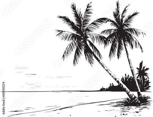 palm trees on the beach engraving outline vector art illustration design, palm tree silhouette, hand drawn beach drawing, line art palm tree, sea, beach, summer view, vintage palm tree on sea beach.	
