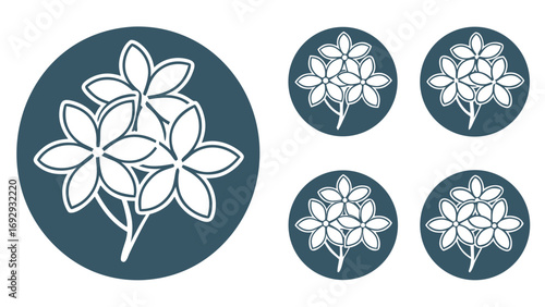 Ixora Tropical Flower Cluster Icon Set Teal White flowers
