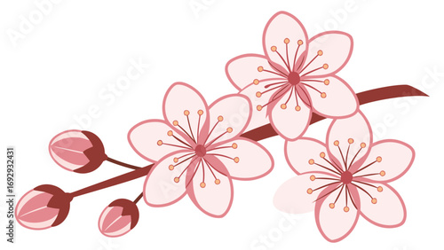 Pink Sakura Blossom Branch Vector Gradient Art Illustration