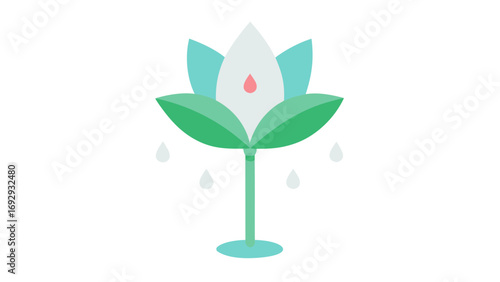 Rain Lily Flower Blooming Vector Art Green Teal White