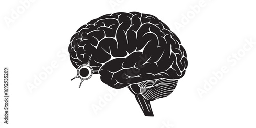 A striking black and white illustration showcases the intricate details of the human brain, including its cerebral cortex and cerebellum, with the optic nerve connected to an eye.
