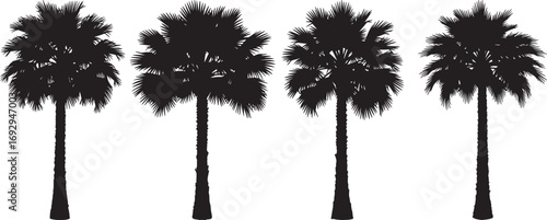 Four distinct palm tree silhouettes against a white background silhouette