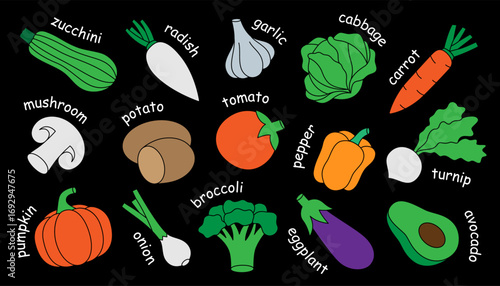 Colorful vegetables with names. Chili pepper, carrot, tomato, mushroom, bell pepper, avocado, pumpkin, broccoli, cabbage, turnip, eggplant