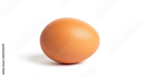 A single fresh brown chicken egg standing upright on a clean, seamless white background with a soft shadow.