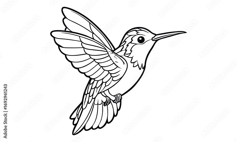 Obraz premium Hummingbird Kids t shirt design silhouette and vector line art, Detailed Line Art, Perfect for Relaxation and Stress Relief, Great for Adult Coloring Books or Printable Art Therapy.