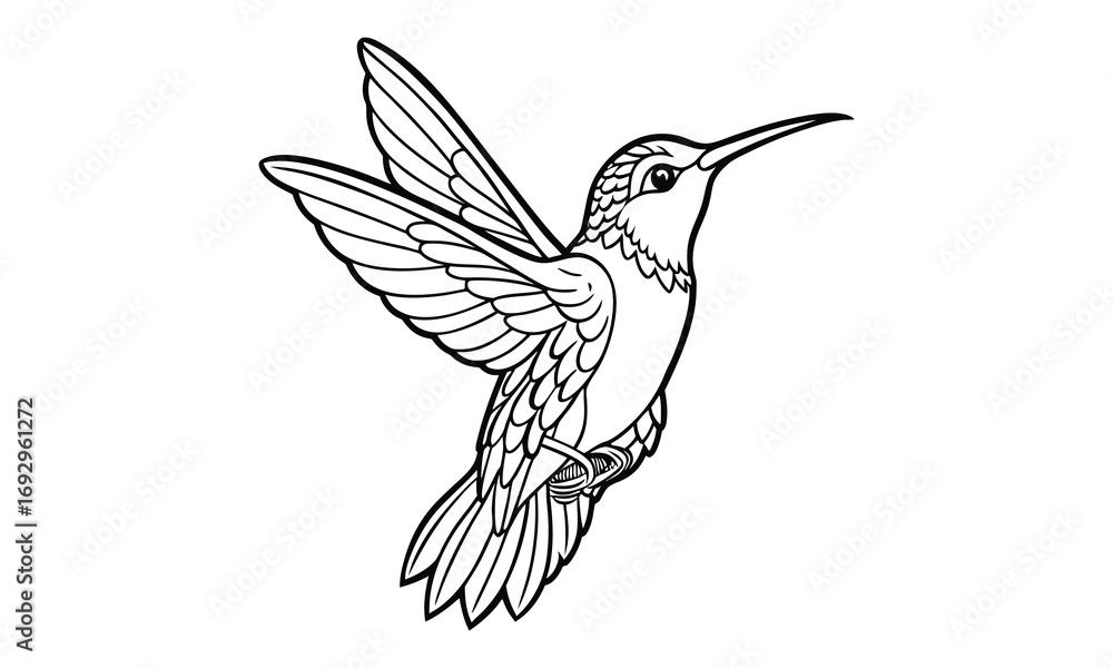 Fototapeta premium Hummingbird Kids t shirt design silhouette and vector line art, Detailed Line Art, Perfect for Relaxation and Stress Relief, Great for Adult Coloring Books or Printable Art Therapy.