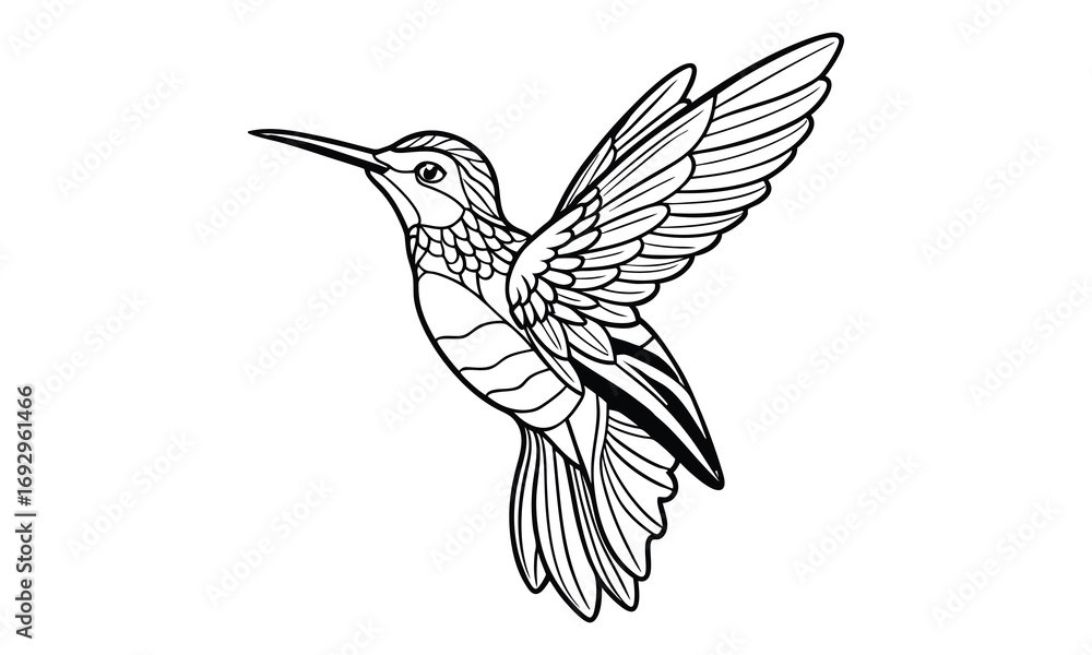 Fototapeta premium Hummingbird Kids t shirt design silhouette and vector line art, Detailed Line Art, Perfect for Relaxation and Stress Relief, Great for Adult Coloring Books or Printable Art Therapy.