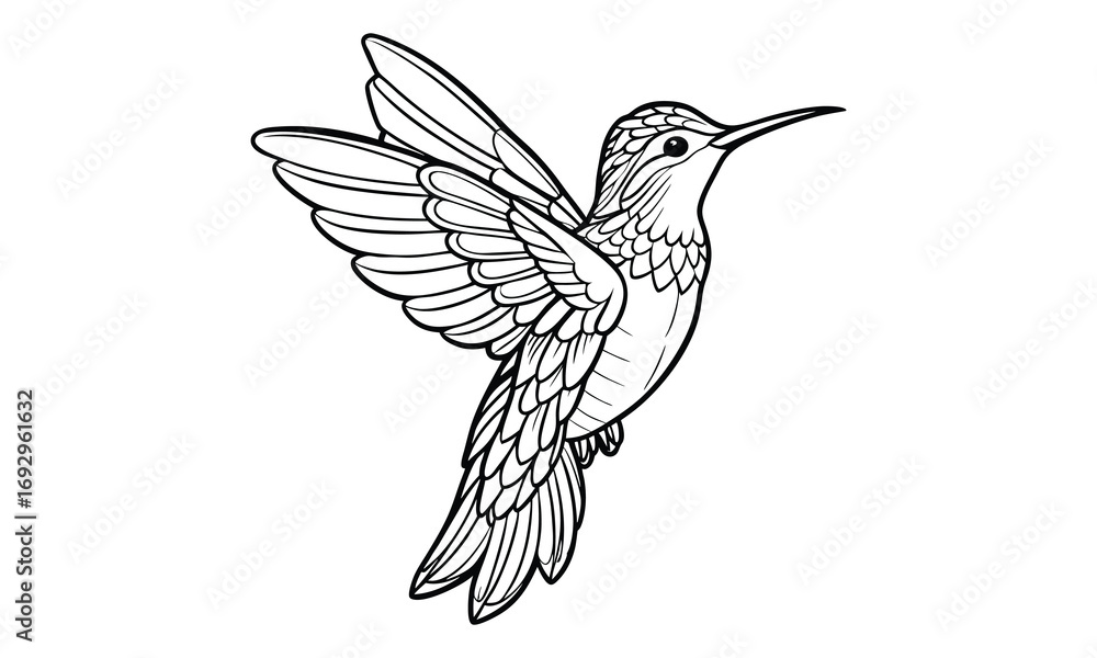 Naklejka premium Hummingbird Kids t shirt design silhouette and vector line art, Detailed Line Art, Perfect for Relaxation and Stress Relief, Great for Adult Coloring Books or Printable Art Therapy.