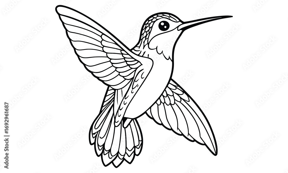 Fototapeta premium Hummingbird Kids t shirt design silhouette and vector line art, Detailed Line Art, Perfect for Relaxation and Stress Relief, Great for Adult Coloring Books or Printable Art Therapy.