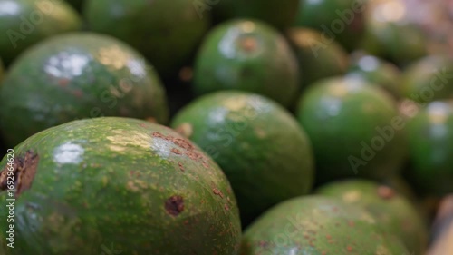Healthy food, avocado, Buccaneer variety, on the shelf, close-up