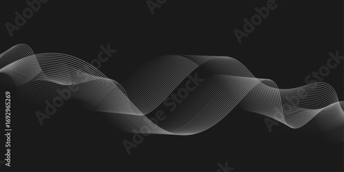 Elegant Abstract White Wave Lines Flowing Smoothly Across a Deep Black Background, Creating a Minimalist and Modern Contrast.
