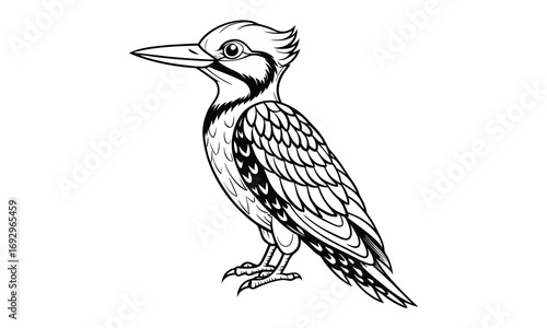 Woodpecker Kids t shirt design silhouette and vector line art, Detailed High-Quality Line Art, Suitable for Adult Coloring Books, Stress Relief, Relaxation, and Printable Art Therapy Projects.