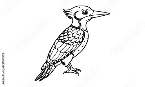 Woodpecker Kids t shirt design silhouette and vector line art, Detailed High-Quality Line Art, Suitable for Adult Coloring Books, Stress Relief, Relaxation, and Printable Art Therapy Projects.