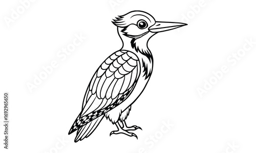 Woodpecker Kids t shirt design silhouette and vector line art, Detailed High-Quality Line Art, Suitable for Adult Coloring Books, Stress Relief, Relaxation, and Printable Art Therapy Projects.