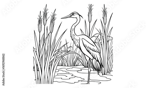 Heron Kids t shirt design silhouette and vector line art, High-Quality Illustration, Ideal for Relaxation and Stress Relief, Perfect for Adult Coloring Books and Printable Art Therapy.