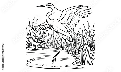 Heron Kids t shirt design silhouette and vector line art, High-Quality Illustration, Ideal for Relaxation and Stress Relief, Perfect for Adult Coloring Books and Printable Art Therapy.