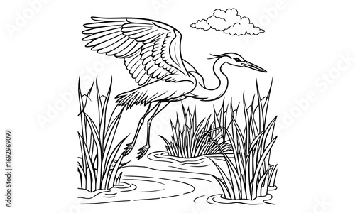 Heron Kids t shirt design silhouette and vector line art, High-Quality Illustration, Ideal for Relaxation and Stress Relief, Perfect for Adult Coloring Books and Printable Art Therapy.