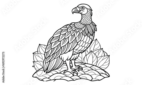 Vulture Kids t shirt design silhouette and vector line art, Detailed High-Quality Line Art, Suitable for Adult Coloring Books, Stress Relief, Relaxation, and Printable Art Therapy Projects.