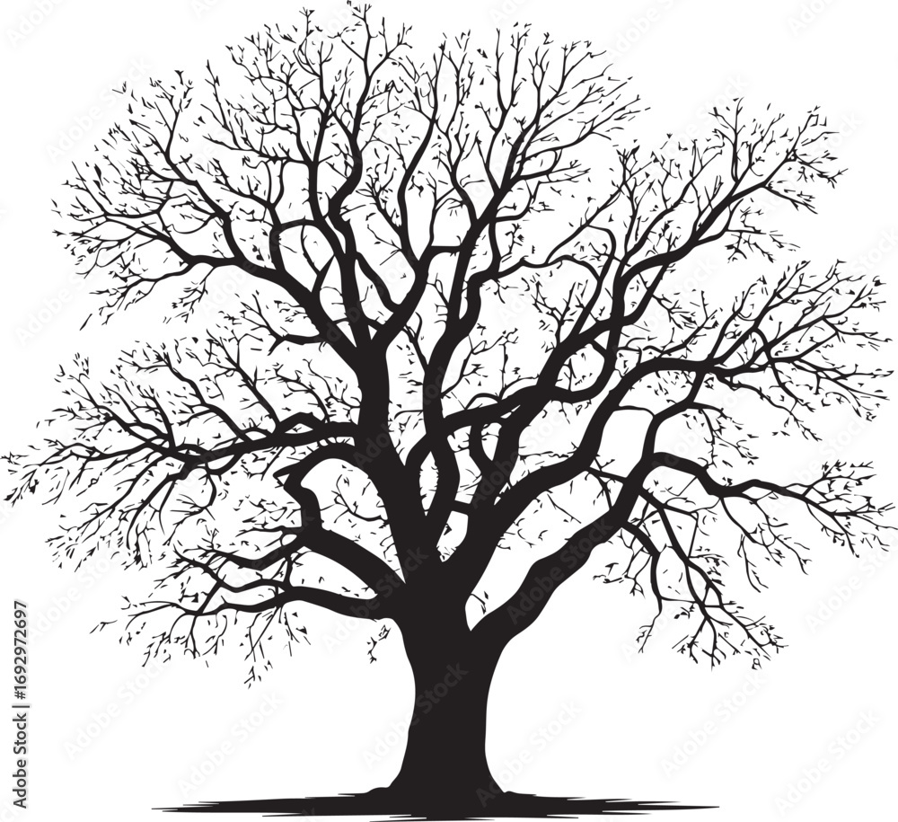Fototapeta premium Black silhouette of a detailed leafless tree with intricate branches, perfect for nature themes, artwork, design, and decorative projects.