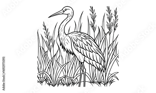 Stork Kids t shirt design silhouette and vector line art, Detailed High-Quality Line Art, Suitable for Adult Coloring Books, Stress Relief, Relaxation, and Printable Art Therapy Projects.