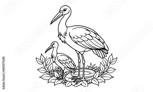 Stork Kids t shirt design silhouette and vector line art, Detailed High-Quality Line Art, Suitable for Adult Coloring Books, Stress Relief, Relaxation, and Printable Art Therapy Projects.