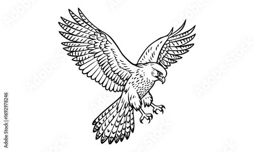 Hawk Kids t shirt design silhouette and vector line art, Detailed High-Quality Line Art, Suitable for Adult Coloring Books, Stress Relief, Relaxation, and Printable Art Therapy Projects.