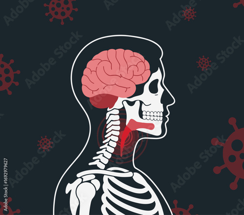 Representation of Viral Infection in the Human Body