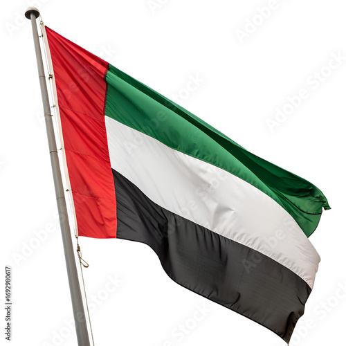 Wallpaper Mural United arab emirates flag waving on a flagpole isolated on transparent background Torontodigital.ca