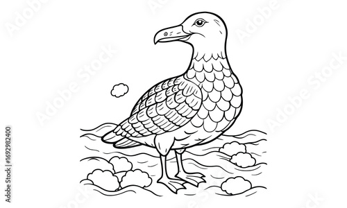 Albatross Kids t shirt design silhouette and vector line art, Detailed High-Quality Line Art, Suitable for Adult Coloring Books, Stress Relief, Relaxation, and Printable Art Therapy Projects.