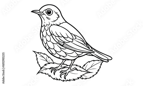Robin Kids t shirt design silhouette and vector line art, Detailed High-Quality Line Art, Suitable for Adult Coloring Books, Stress Relief, Relaxation, and Printable Art Therapy Projects.