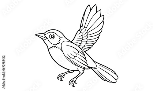 Robin Kids t shirt design silhouette and vector line art, Detailed High-Quality Line Art, Suitable for Adult Coloring Books, Stress Relief, Relaxation, and Printable Art Therapy Projects.