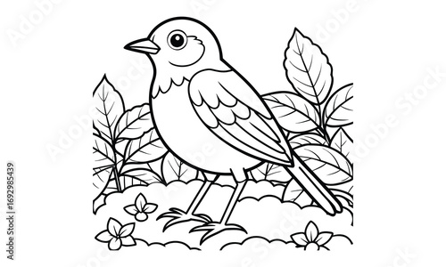 Robin Kids t shirt design silhouette and vector line art, Detailed High-Quality Line Art, Suitable for Adult Coloring Books, Stress Relief, Relaxation, and Printable Art Therapy Projects.