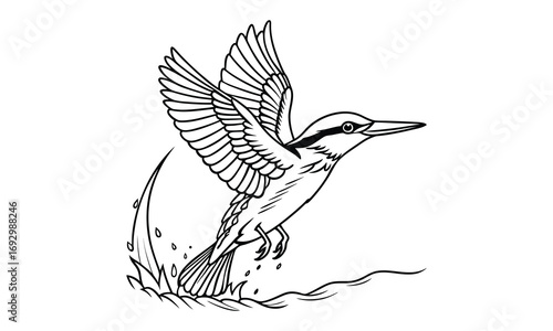 Kingfisher Kids t shirt design silhouette and vector line art, Detailed Line Art, Perfect for Relaxation and Stress Relief, Great for Adult Coloring Books or Printable Art Therapy Activities.