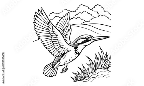 Kingfisher Kids t shirt design silhouette and vector line art, Detailed Line Art, Perfect for Relaxation and Stress Relief, Great for Adult Coloring Books or Printable Art Therapy Activities.