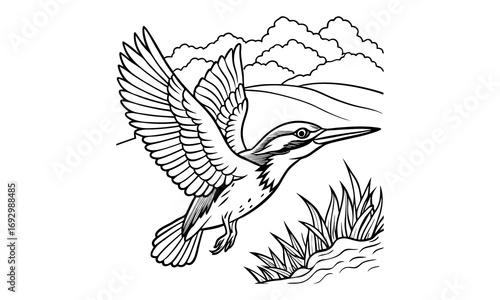 Kingfisher Kids t shirt design silhouette and vector line art, Detailed Line Art, Perfect for Relaxation and Stress Relief, Great for Adult Coloring Books or Printable Art Therapy Activities.
