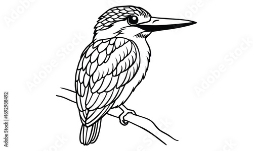 Kingfisher Kids t shirt design silhouette and vector line art, Detailed Line Art, Perfect for Relaxation and Stress Relief, Great for Adult Coloring Books or Printable Art Therapy Activities.
