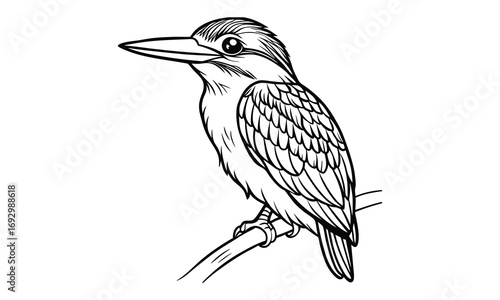 Kingfisher Kids t shirt design silhouette and vector line art, Detailed Line Art, Perfect for Relaxation and Stress Relief, Great for Adult Coloring Books or Printable Art Therapy Activities.