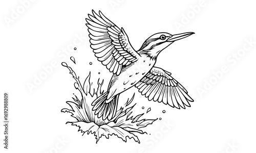 Kingfisher Kids t shirt design silhouette and vector line art, Detailed Line Art, Perfect for Relaxation and Stress Relief, Great for Adult Coloring Books or Printable Art Therapy Activities.