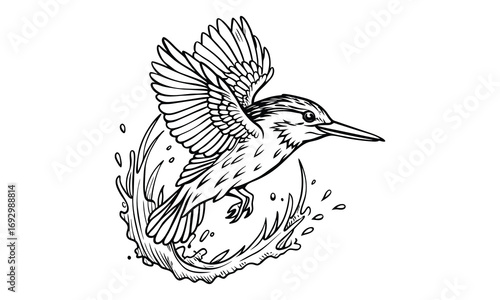 Kingfisher Kids t shirt design silhouette and vector line art, Detailed Line Art, Perfect for Relaxation and Stress Relief, Great for Adult Coloring Books or Printable Art Therapy Activities.
