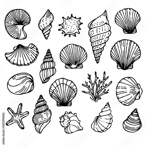 Collection Various Outline Black And White Drawing Seashells. Set Hand Drawn Doodle Snails and Shells, Starfish sketch Illustrations. Line Art Coastal Themes. Sea Elements, Marine Mollusks, Corals