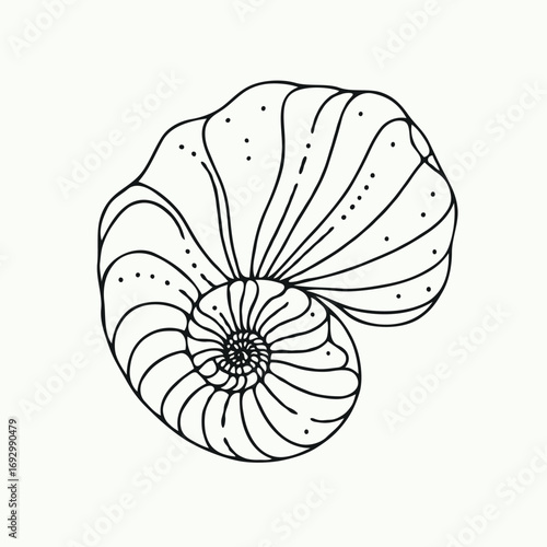 Collection Various Outline Black And White Drawing Seashells. Set Hand Drawn Doodle Snails and Shells, Starfish sketch Illustrations. Line Art Coastal Themes. Sea Elements, Marine Mollusks, Corals