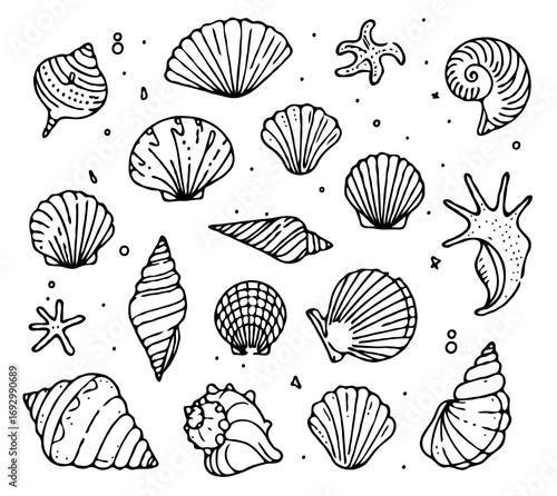 Collection Various Outline Black And White Drawing Seashells. Set Hand Drawn Doodle Snails and Shells, Starfish sketch Illustrations. Line Art Coastal Themes. Sea Elements, Marine Mollusks, Corals