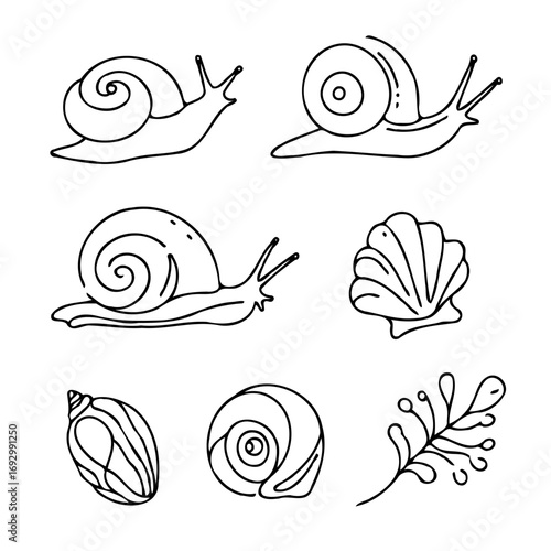 Collection Various Outline Black And White Drawing Seashells. Set Hand Drawn Doodle Snails and Shells, Starfish sketch Illustrations. Line Art Coastal Themes. Sea Elements, Marine Mollusks, Corals