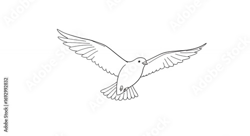 Bird in flight line art